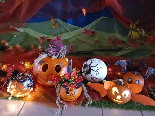 581958685 1422967483163893 4251901924481301432 n