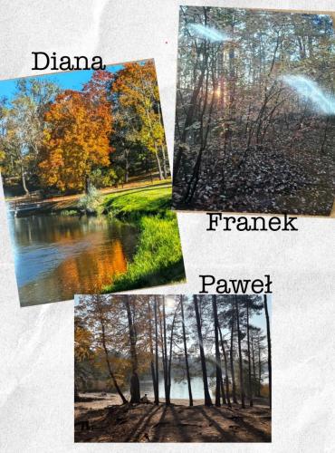 586272196 1424622149665093 7698389789759677467 n